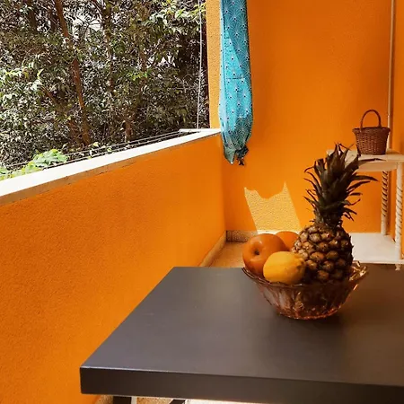 Center Of Tonya Apartment